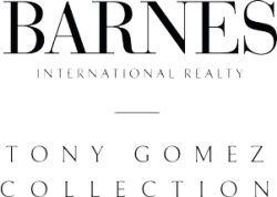 Barnes collections-Tony gomez